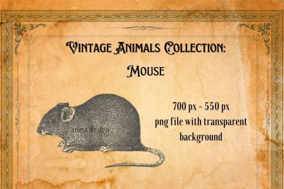 Charming Vintage Mouse Illustration for Creative Projects