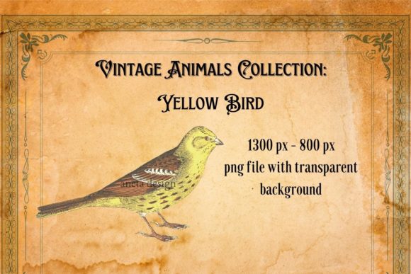Charming Vintage Yellow Bird Illustration for Design Projects