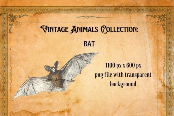 Vintage Bat Illustration: A Timeless Asset for Modern Design
