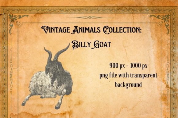 Vintage Billy Goat Illustration: A Timeless Design Asset