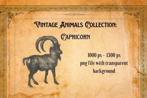 Vintage Capricorn Illustration: Timeless Charm for Modern Design