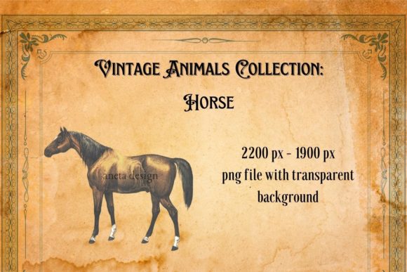 Vintage Horse Illustration: A Timeless Design Asset