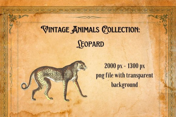 Vintage Leopard Illustration: A Timeless Design Asset